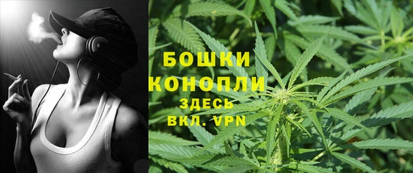 PSILOCYBIN Алексин