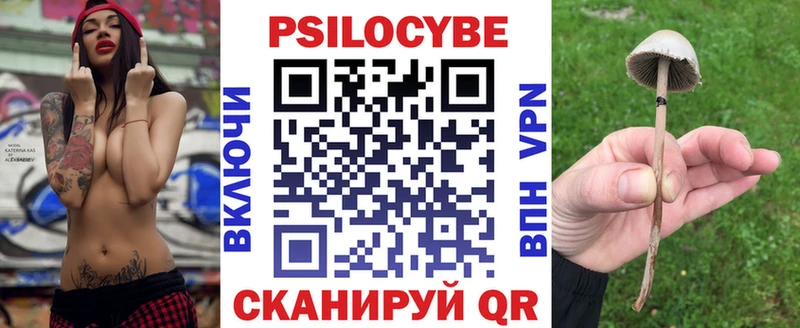 Галлюциногенные грибы мицелий  маркетплейс состав  Курганинск 